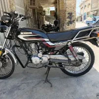 بچه شکاری کویر