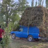 نیسان بار رضا|خدمات حمل و نقل|مرند, |دیوار