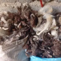 پشم رختخواب