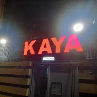 استخدام بلاگر