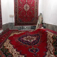 فرش دستباف تبریز۱۲  گوشت دار خیلی زیبا ریشه پلمپ