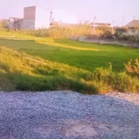 فروش زمین در منطقه خوش آب و هوای مازندران