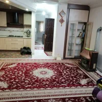 2 تا فرش قرمز 12 متری