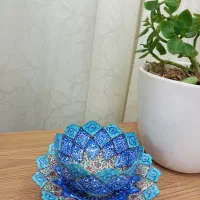 کاسه و بشقاب میناکاری|کلکسیون اشیاء عتیقه|بروجن, |دیوار