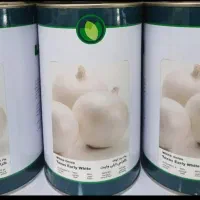 بذر پیاز فلات یک کیلو از کشت خودم اضاف اومد|خدمات باغبانی و درختکاری|جیرفت, |دیوار