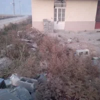 اجاره سالانه جهت کشت گوجه و چلتوک‌ وگندم|اجارهٔ دفتر صنعتی، کشاورزی، تجاری|درودزن, |دیوار