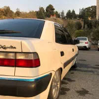 زانتیا تک برگ