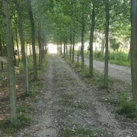 پنجره ای به آرامش بی پایان،جایی برای رها شدن