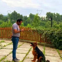 سگ .آموزش .پانسیون.مشاوره