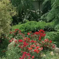 باغچه-شهرکی