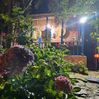 کلبه چوبی اجاره شب|اجارهٔ کوتاهمدت آپارتمان و سوئیت|نشتارود, |دیوار