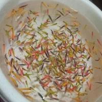 انواع ماهی آکواریومی