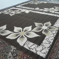 دو عدد فرش ۱۲متری