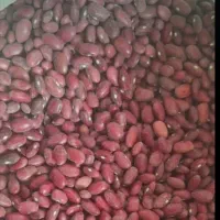 لوبیا قرمز درجه یک سرحد بوجاری شده و تمیز