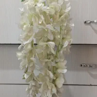 چهار شاخه گل