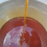 شیره ی بیدانه
