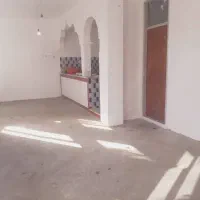 خونه-در-محله-سازمان