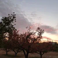 دعانویس در روستا خانقاه یا قره عاج میخوام