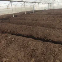 کود ورمی کمپوست زمرد