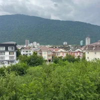 هچیرود-سند-شش-دانگ-جواز