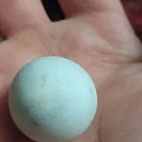 سنگ آسیاب اصلی