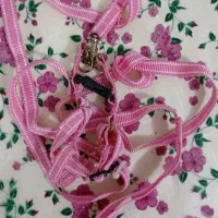 قفس بزرگ و لانه و جلیقه پرواز و همه وسایل قفس باهم|لوازم جانبی حیوانات|ایلام, |دیوار