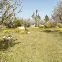 زمین مسکونی وباغی به مساحت۱۱۴۶ متر مربع