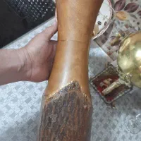 لاکپشت چوبی دست ساز قدیمی و گلدان چوبی|مجسمه، تندیس، ماکت|مشکیندشت, |دیوار
