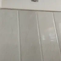 هم خونه