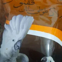 دو بسته سرلاک ققنوس مخصوص طوطی سان