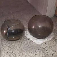 اکواریوم تنگ