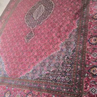 فرش|فرش|سروآباد, |دیوار