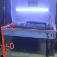 اکواریوم شرکتی آکوا وساده