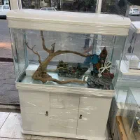 اکواریوم