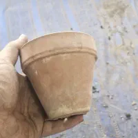 گلدان سفالی|عمده‌فروشی|ماهدشت, |دیوار