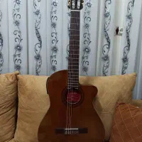 گیتار کوردوبز C3، گیتار تین بادی ، پیکاپ دار