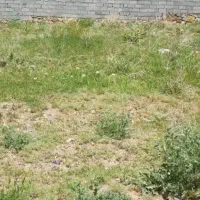 فروش-زمین-در-بحیری