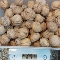 مواد غذایی|خوردنی و آشامیدنی|قائم‌شهر, |دیوار