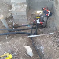 هرس .پاکن. کود دامی. اجرا سیستم آبیاری قطره ای.|خدمات باغبانی و درختکاری|شیراز, شهرک مهرگان|دیوار