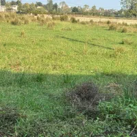 زمین-مسکونی-زیر-قیمت-نیاز-فوری