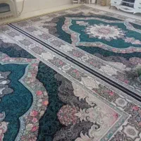 دو عدد قالی ۱۲ متری