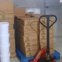 استخدام نیرو ساده خانم