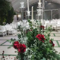 اجاره باغ برای برگزاری تشریفات|اجارهٔ کوتاه‌مدت ویلا و باغ|ورامین, قويينک زهری|دیوار