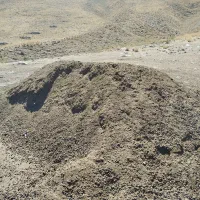 کود حیوانی (پهن)