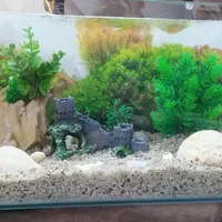 آکواریم شیشه خم|ماهی|نی‌ریز, |دیوار