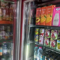 یخچال قدی دو در ویترینی|یخچال و فریزر|شاندرمن, |دیوار