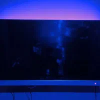 تلوزیون 49 اینچ آیوا|تلویزیون و پروژکتور|کازرون, |دیوار