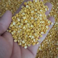 حبوبات تازه|حراج|پاکدشت, پاکدشت (مامازند)|دیوار