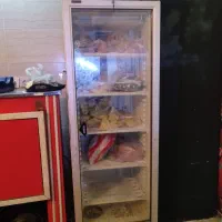 پاف ، فر ، پیتزا ، فریزر|کافیشاپ و رستوران|بندر ماهشهر, |دیوار