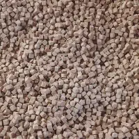 استخدام نیروی کار خانم